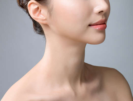 (사진제공=연세라인에스)